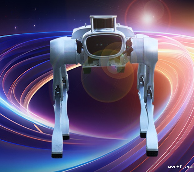 中坚坚米灵睿P1