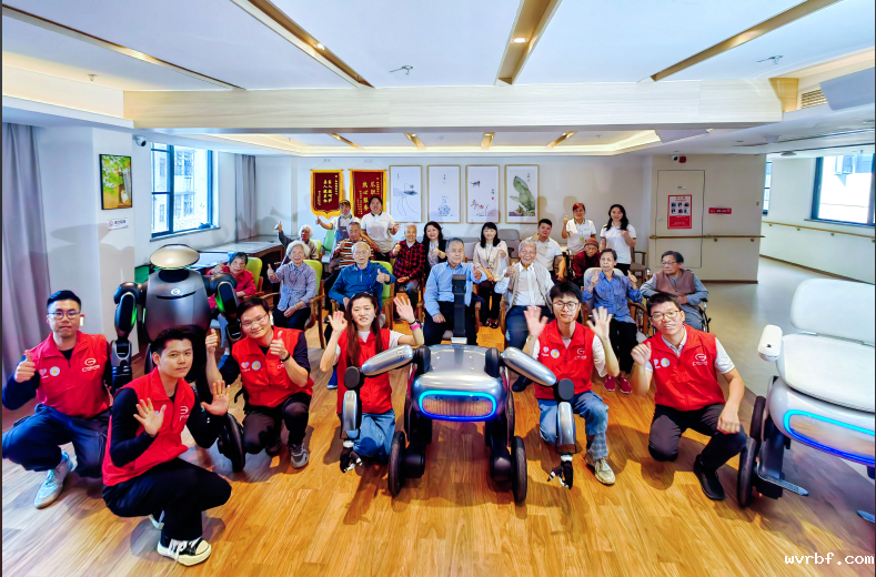 养老服务（健康伴护和生活辅助）