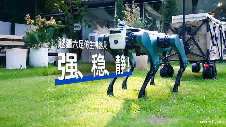 探索者-六足仿生机器人