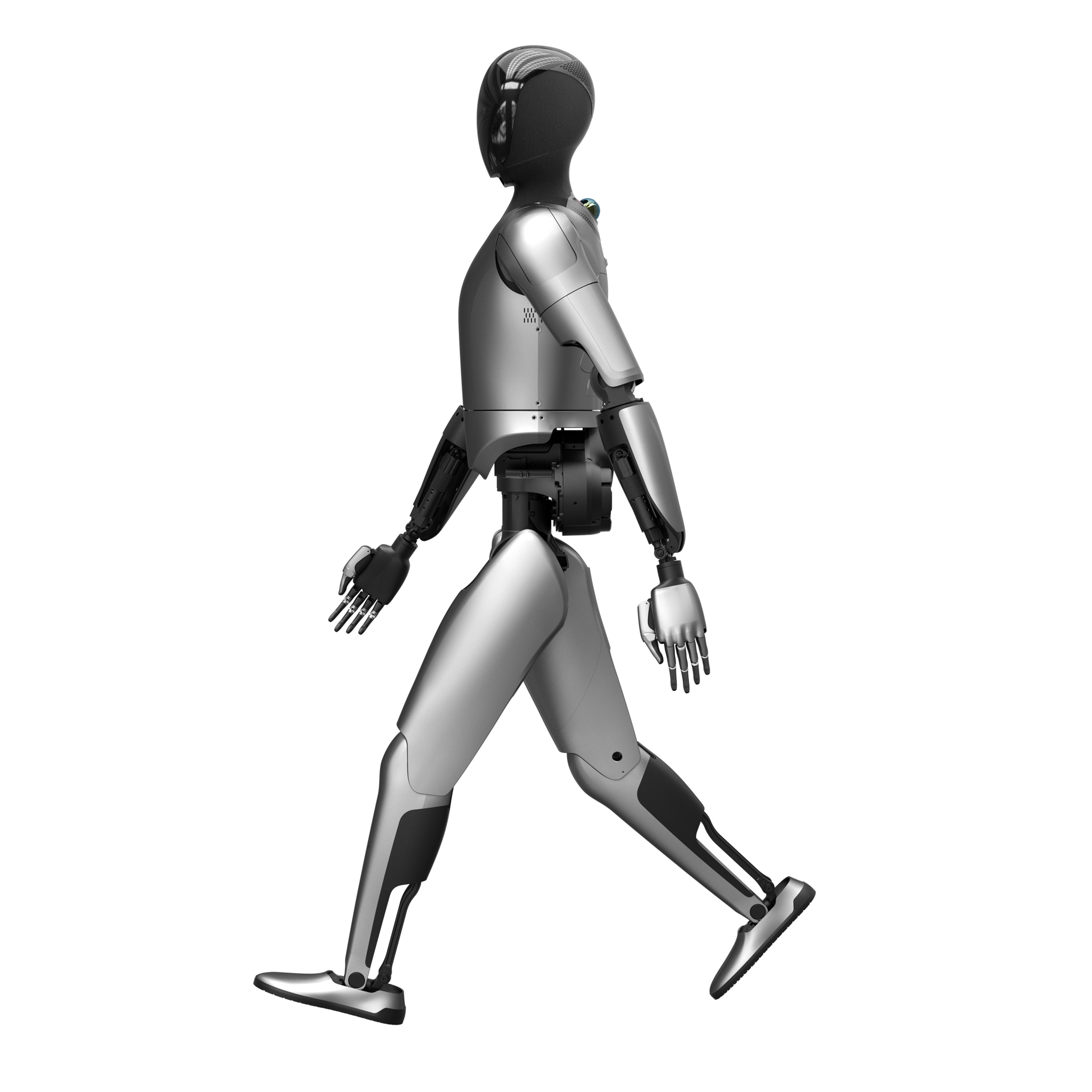 MagicBot（小麦）