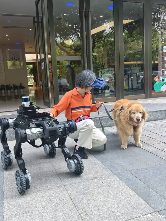 四足机器人西湖残联导盲犬应用