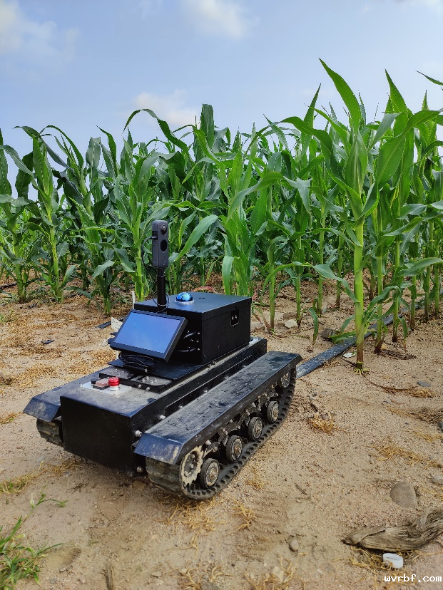 行间冠层下小型机器人表型平台