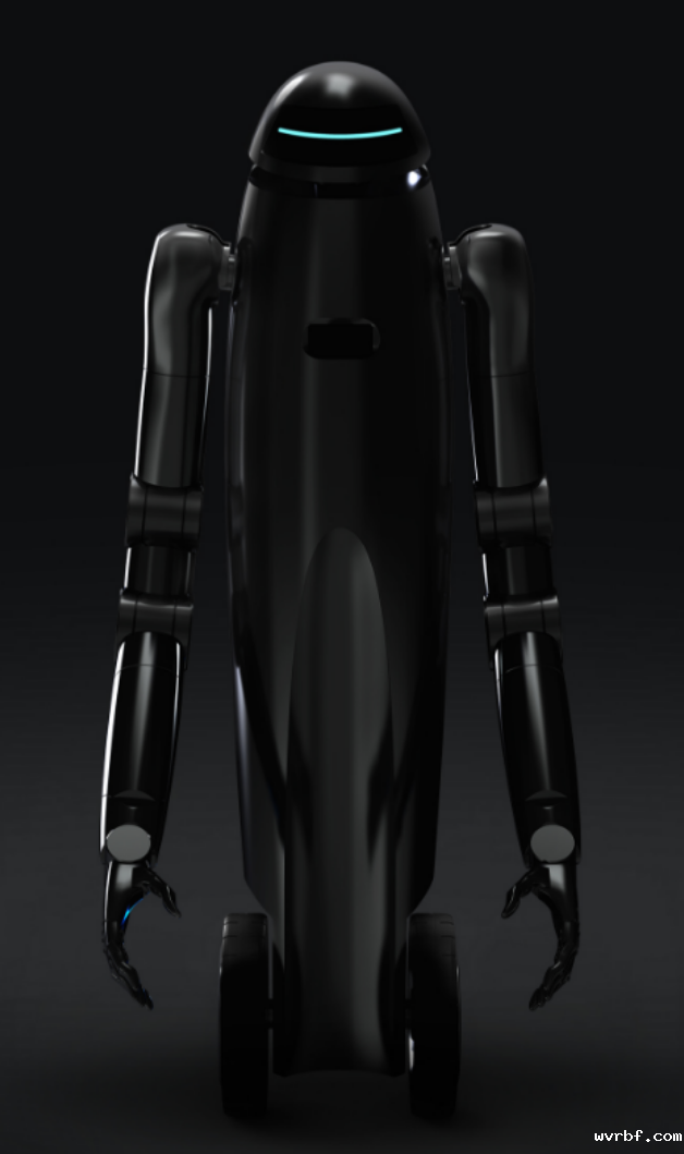 中坚燧石机器人