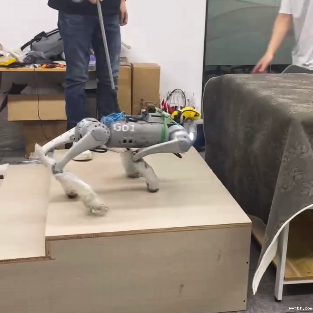 宇树GO1机器狗智能进阶