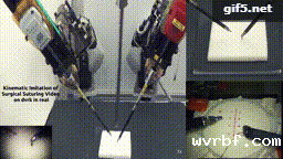 1594102193178640.gif https://mmbiz.qpic.cn/mmbiz_gif/LJiau2qPWAcUxpQbwYotc2mvZ6Es0uyepZcjk7qRRUxFH8kIyGtaCcQccdDibsIo31XrCc0fCktBpicTRf7tKfpRw/640?wx_fmt=gif&wxfrom=5&wx_lazy=1