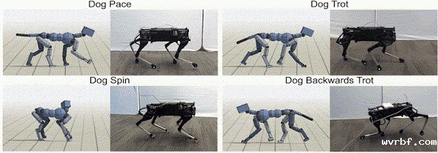 1594102193787307.gif https://mmbiz.qpic.cn/mmbiz_gif/LJiau2qPWAcUxpQbwYotc2mvZ6Es0uyepUMQFkX3Y3ZD7KOvP2Gu8MT3ljdYDHrdYTebflnkNicNicuQjaWcBZz8Q/640?wx_fmt=gif&wxfrom=5&wx_lazy=1