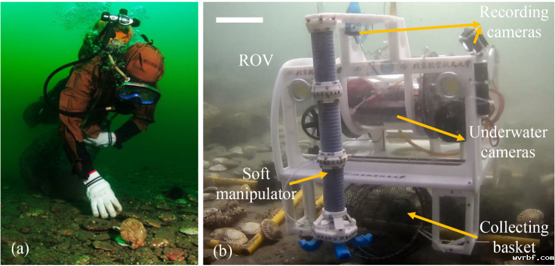 1594358869329667.png https://mmbiz.qpic.cn/mmbiz_png/LJiau2qPWAcUC0YKfnwF2uB2yx9FrDqHXOibtGEkOdqyuxJUHZIib51uXGmN5zmLOmqKJtSnLPF2vgpPhsrxWEjsQ/640?wx_fmt=png&wxfrom=5&wx_lazy=1&wx_co=1