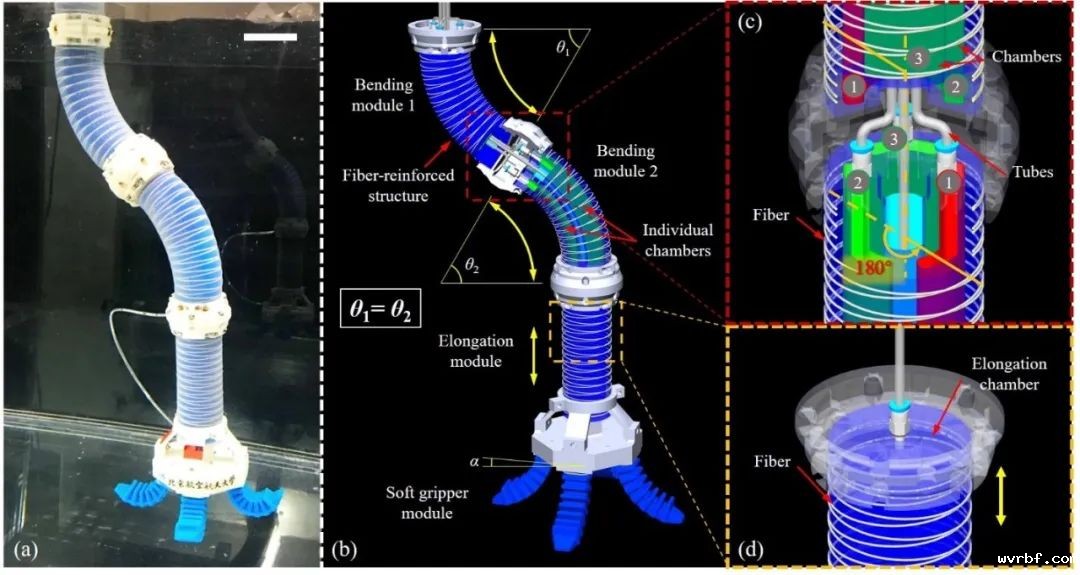 1594358869671120.jpg https://mmbiz.qpic.cn/mmbiz_jpg/LJiau2qPWAcUC0YKfnwF2uB2yx9FrDqHXo63nHXU7JE74w2TlcgIffOc4hjH2DGb0UNppozSVwU5vcP48iaWTozg/640?wx_fmt=jpeg&wxfrom=5&wx_lazy=1&wx_co=1