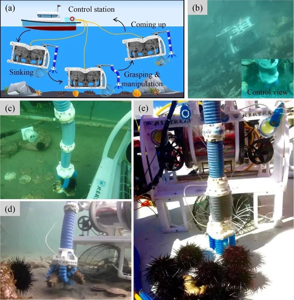 1594358870728692.jpg https://mmbiz.qpic.cn/mmbiz_jpg/LJiau2qPWAcUC0YKfnwF2uB2yx9FrDqHXz0NIBhicM4aC3IpJXJibS1XIjUMSnYQyN34QvtsytHWicf7BvkKzWiaRkQ/640?wx_fmt=jpeg&wxfrom=5&wx_lazy=1&wx_co=1