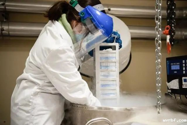 1594359240402590.jpg https://mmbiz.qpic.cn/sz_mmbiz_jpg/QS5UdK89q5nz1FiaJz1c51icrNagia9miagpgXc2aUD1syMwPp1JbucA8iaGOFkKpaNc2KBzr2Wfl2FrjCubuzVDEXw/640?wx_fmt=jpeg&wxfrom=5&wx_lazy=1&wx_co=1