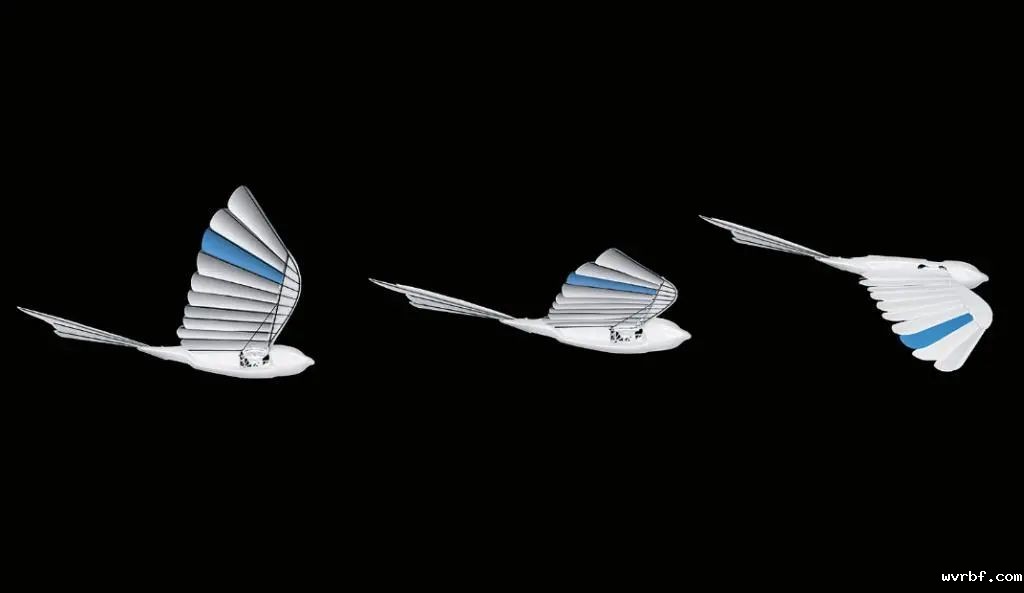 1595231727644927.jpg https://mmbiz.qpic.cn/sz_mmbiz_jpg/QS5UdK89q5kEjTR2g3gnPibKXhFTBmO48rWwiaqIo4TdbmY3sNSicUGaJ5tu5vGnicYyOicExWxIy3YATQQBALECGmg/640?wx_fmt=jpeg&wxfrom=5&wx_lazy=1&wx_co=1