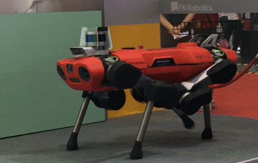 2019世界机器人大会在京开幕 700余款机器人亮相